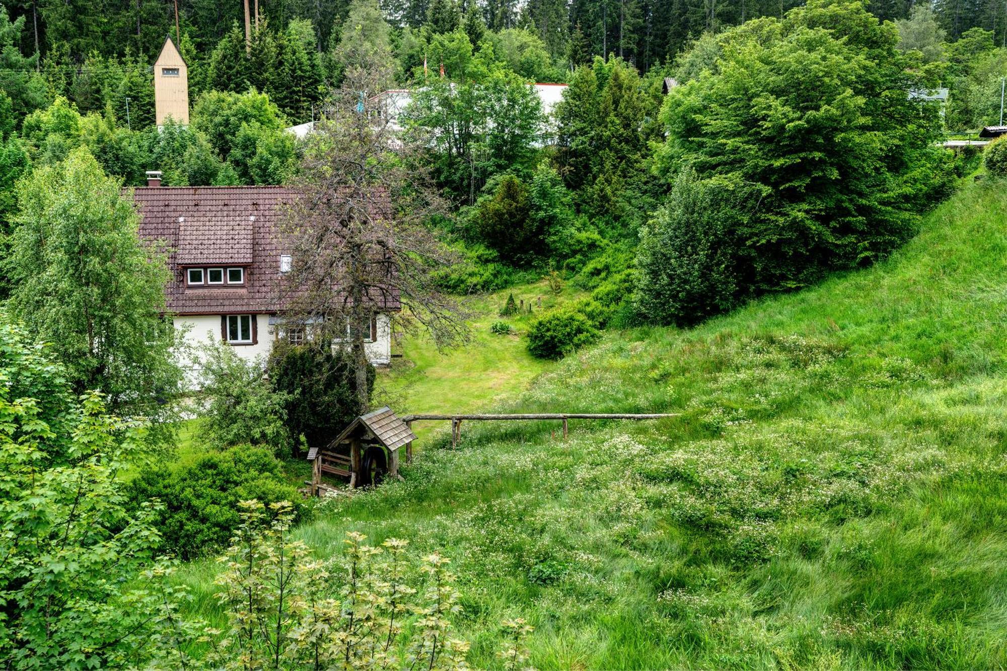 Haus Seiler Leilighet Freudenstadt Eksteriør bilde